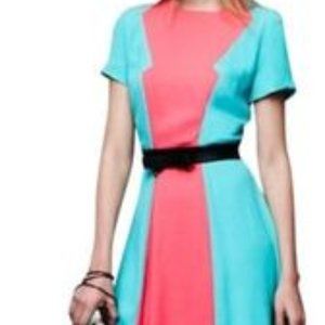 Prabal Gurung Target colorblock Blue Pink Dress 16